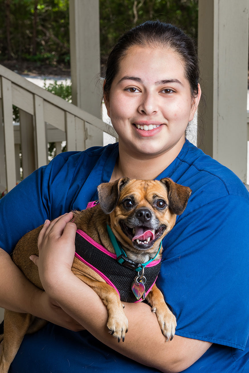 Our Team - Spring Branch Veterinary Hospital in Comal County TX