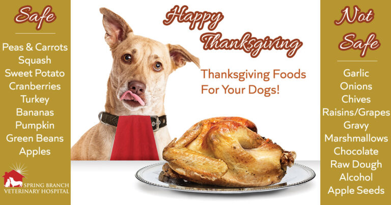 Thanksgiving Foods for Dogs